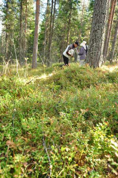 f0188408_1465384.jpg