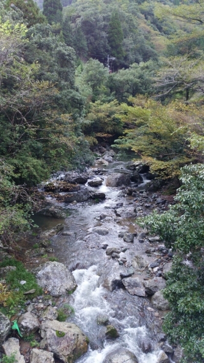d0206314_19244072.jpg