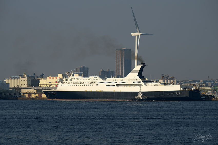 横浜港の「はくおう」「SONME」「海王丸」「PV」 No3_f0344614_12343430.jpg