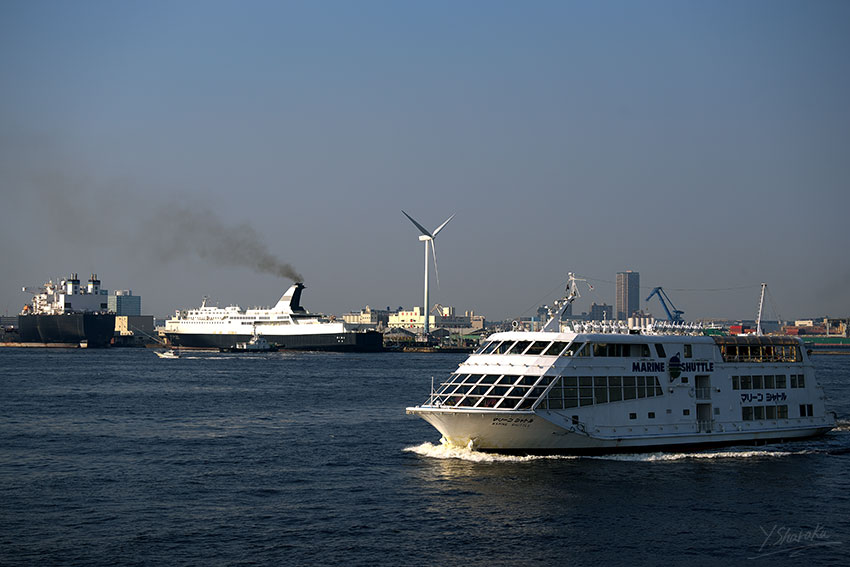 横浜港の「はくおう」「SONME」「海王丸」「PV」 No3_f0344614_12384352.jpg