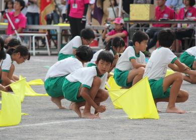 息子の運動会＆甥っ子姪っ子の運動会_f0255322_14285512.jpg