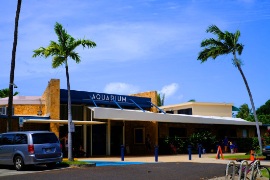 b0310424_20240013.jpg