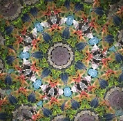 e0305824_16392546.jpg