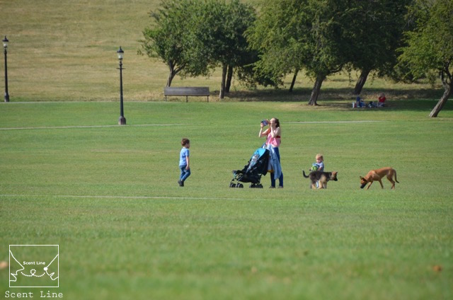 2度目のイギリス旅レポート その2 (ロンドンで犬と散歩)_c0099133_8214426.jpg