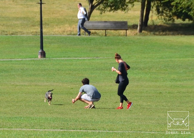 2度目のイギリス旅レポート その2 (ロンドンで犬と散歩)_c0099133_8221798.jpg