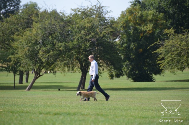 2度目のイギリス旅レポート その2 (ロンドンで犬と散歩)_c0099133_8224297.jpg