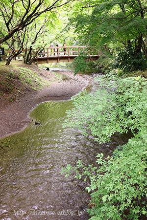 旅・湯布院_a0264538_01213118.jpg