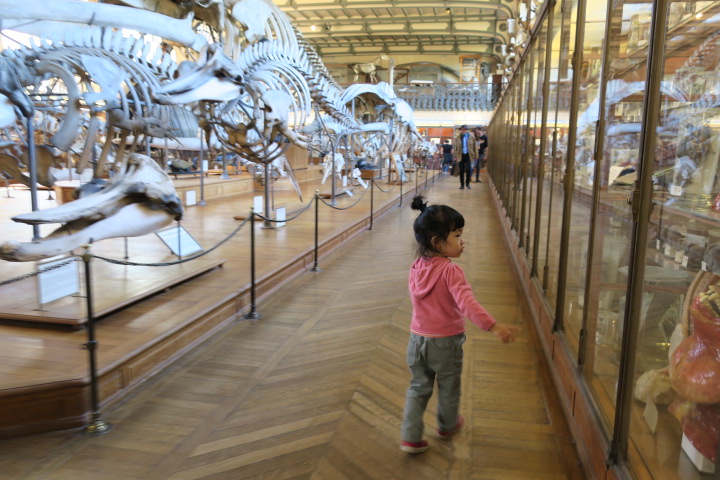 e0300042_20535119.jpg