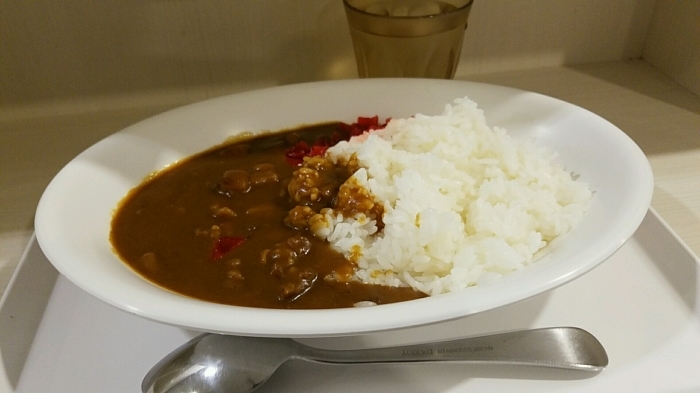 カレー死覚悟。_d0164343_17342246.jpg