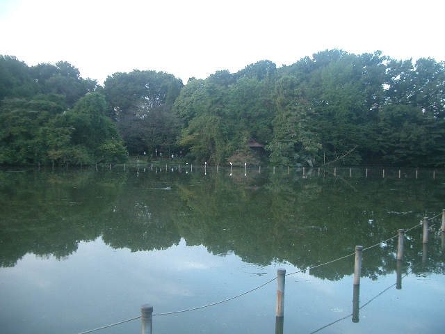 b0003445_11413491.jpg