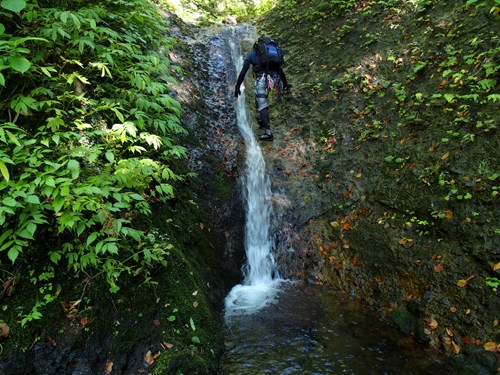 c0081645_101055.jpg