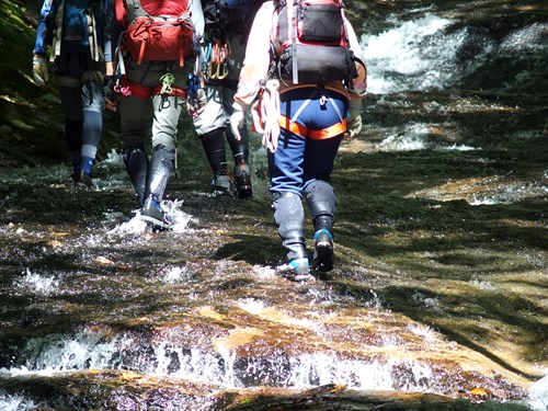 c0081645_1034399.jpg