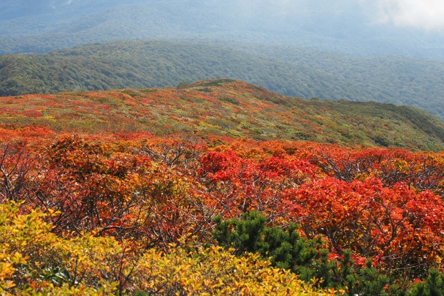 2016/10/1 栗駒山（いわかがみ平から周回）_b0189948_22161694.jpg