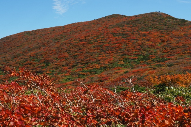 2016/10/1 栗駒山（いわかがみ平から周回）_b0189948_2263622.jpg