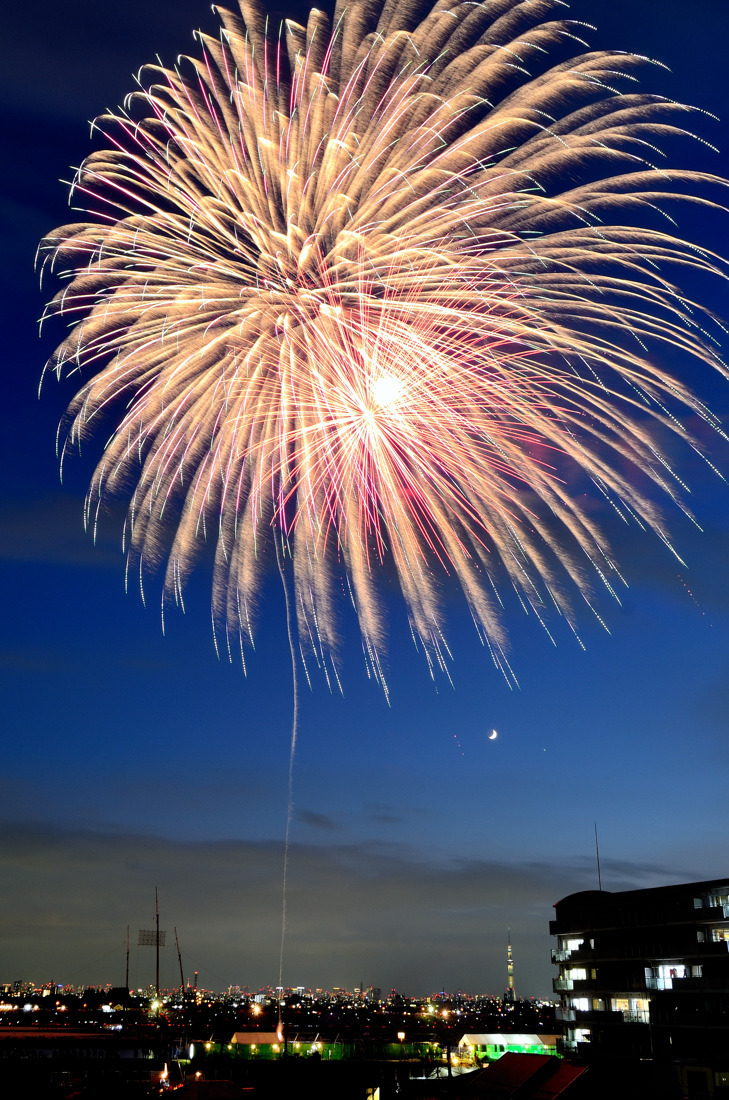 第41回江戸川区エキサイティング花火 第32回市川市民納涼花火大会 16年 夏の江戸川花火 ツッチ の ｔｒａｉｎ ｐｈｏｔｏ ｂｌｏｇ