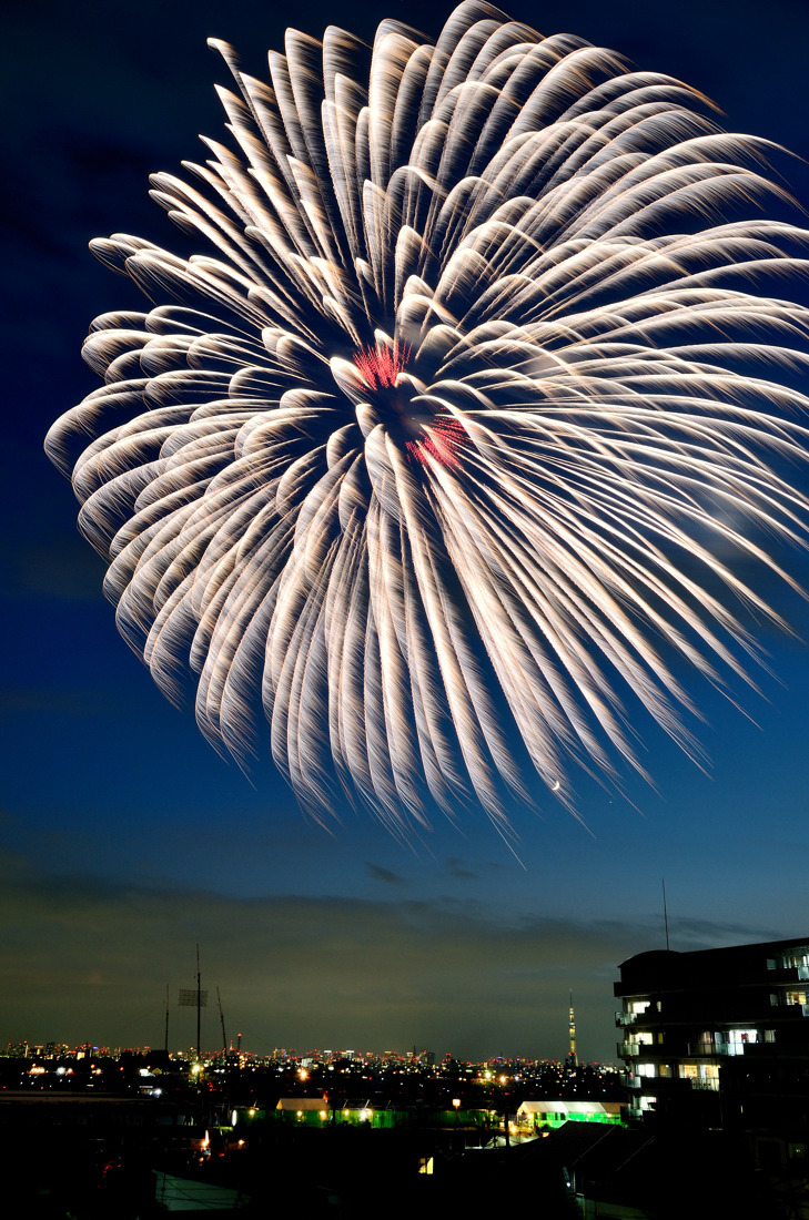 第41回江戸川区エキサイティング花火 第32回市川市民納涼花火大会 16年 夏の江戸川花火 ツッチ の ｔｒａｉｎ ｐｈｏｔｏ ｂｌｏｇ