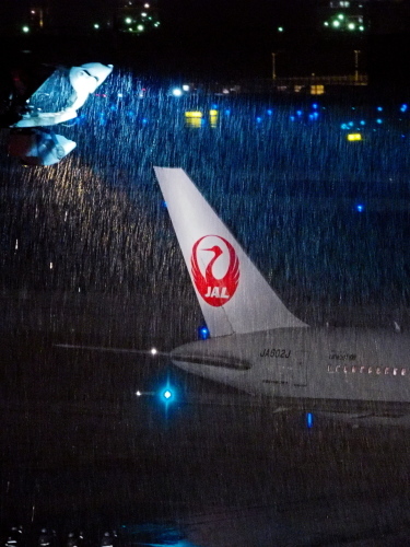 雨の羽田で飛行機の撮影と美味しい食事 のんびりまったり写真館 雨の羽田で飛行機の撮影と美味しい食事 のんびりまったり写真館