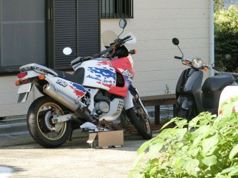 e0045768_2221246.jpg