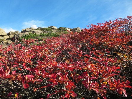 至仏山・笠ヶ岳　鳩待峠より_f0302771_22391955.jpg