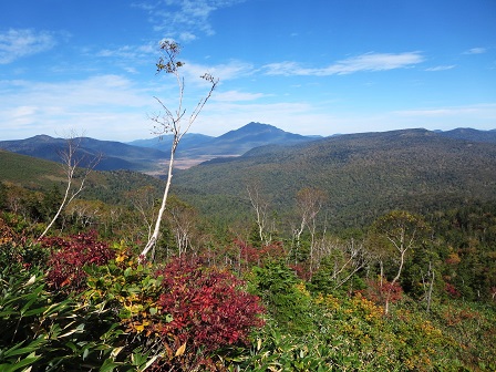 至仏山・笠ヶ岳　鳩待峠より_f0302771_22445714.jpg