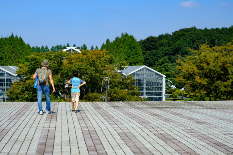 秋晴れの公園_b0368075_08031608.jpg