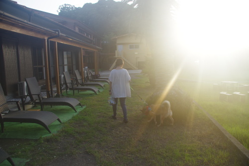 c0364176_13353183.jpeg