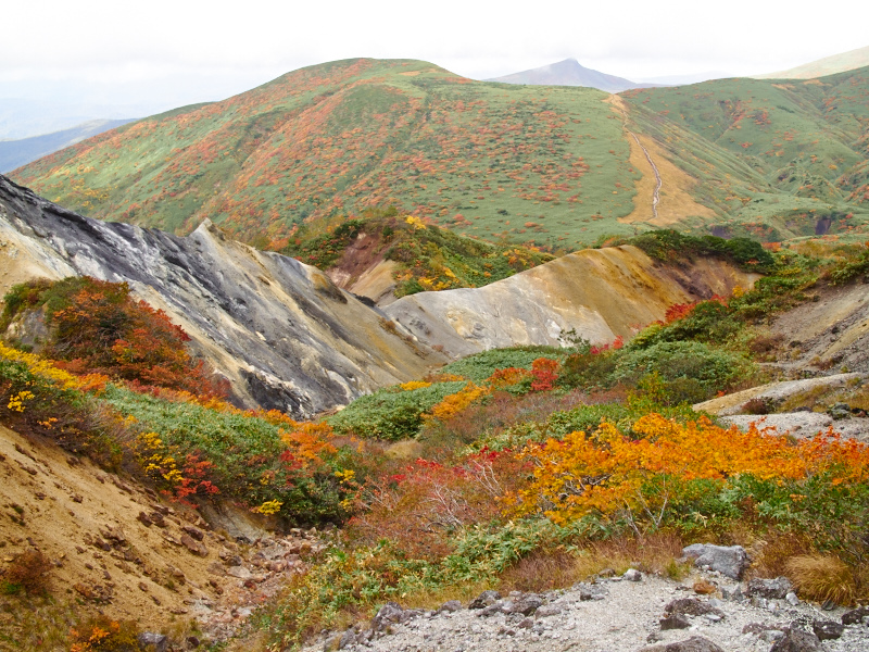 秋田駒秋景_b0365377_22312998.jpg