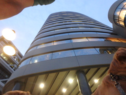 f0052277_1372142.jpg