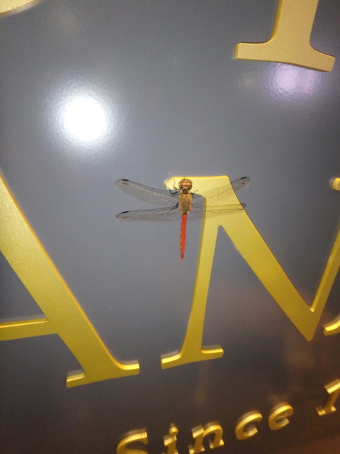 f0052277_1414415.jpg