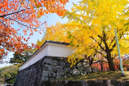 秋の紅葉と、食欲の秋、そして沖縄へ_f0155477_10382387.jpg