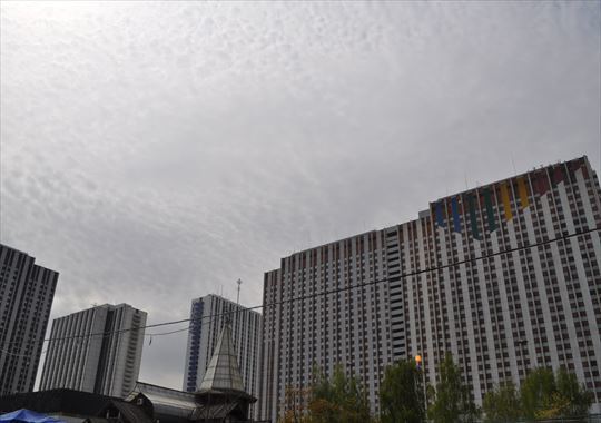 b0346378_11521348.jpg