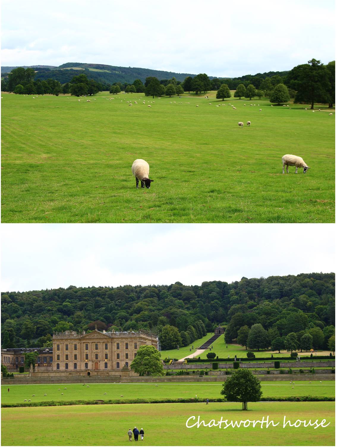 Chatsworth house_a0107981_11593877.jpg