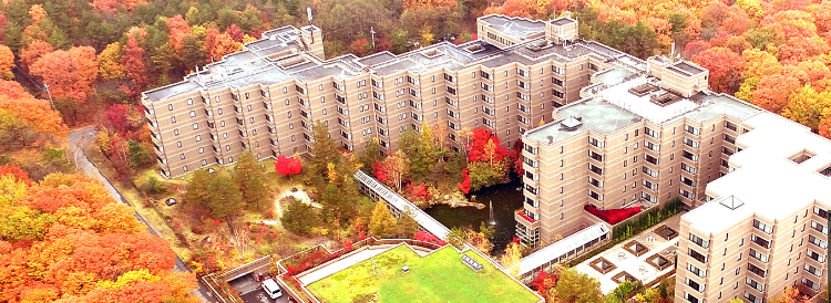 b0364186_00053760.png