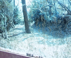 d0183387_19393936.png