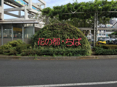 千葉にて指圧治療研修会。_a0112393_09565942.jpg