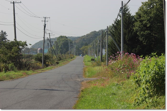 f0146493_10521156.jpg