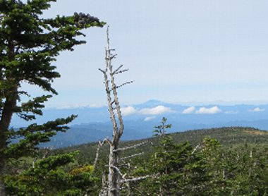 e0122199_2155501.jpg