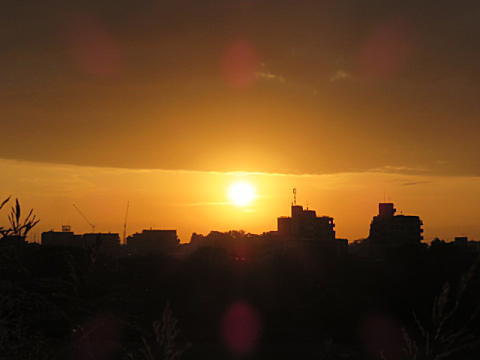 d0046702_713521.jpg