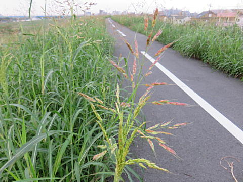 d0046702_714640.jpg