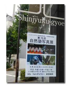 10月も1週間が過ぎて_c0051105_11464068.jpg