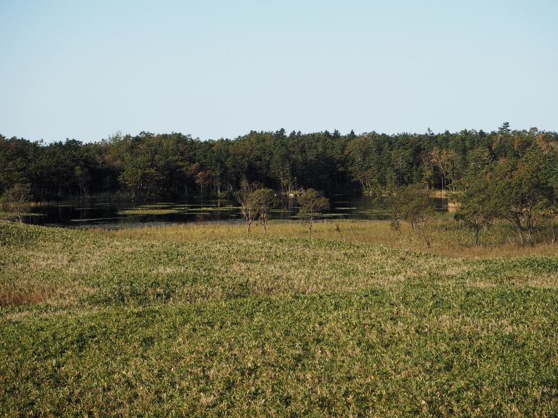 e0350905_19172626.jpg