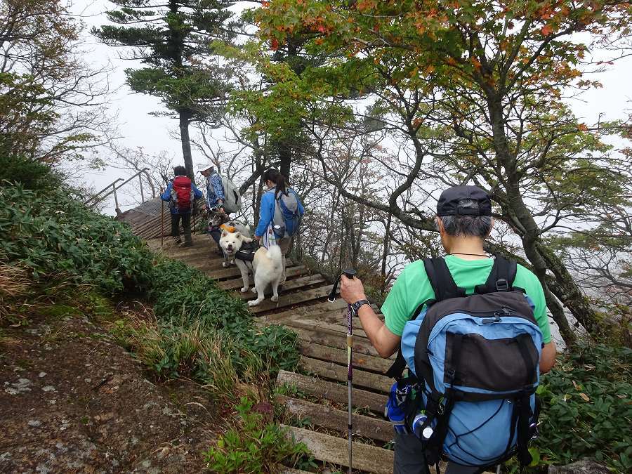 西之川 天柱石 石鎚山 三の鎖で滑落死亡事故 おじょもの山のぼり ohara98jp gmail com