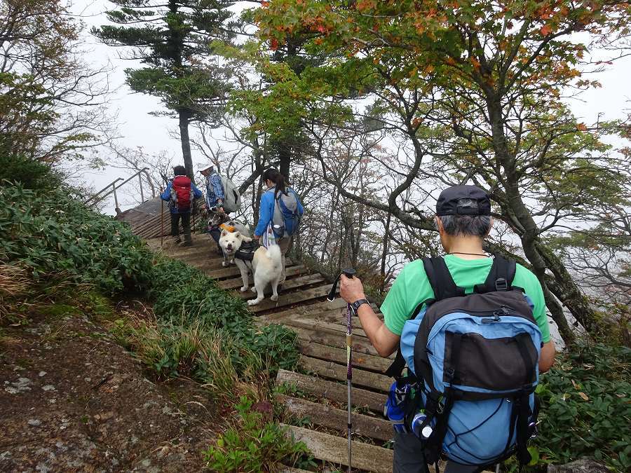 西之川～天柱石～石鎚山　三の鎖で滑落死亡事故_b0124306_18575064.jpg