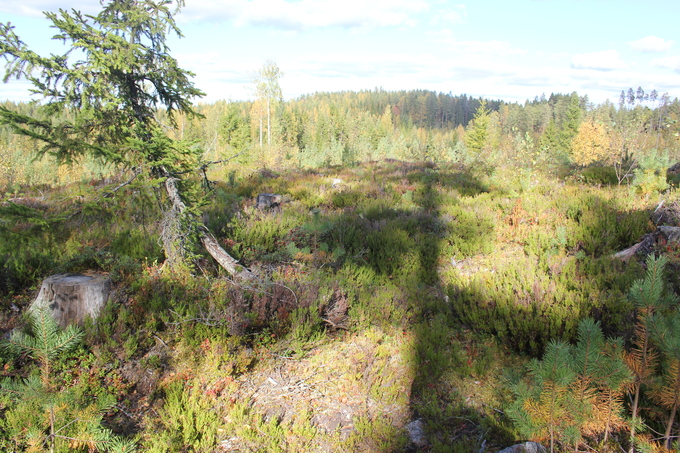 f0188408_14284861.jpg