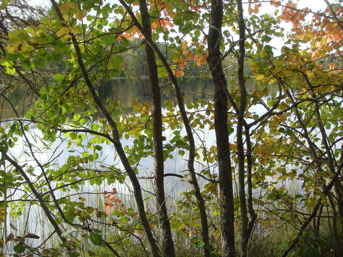 f0188408_14522310.jpg