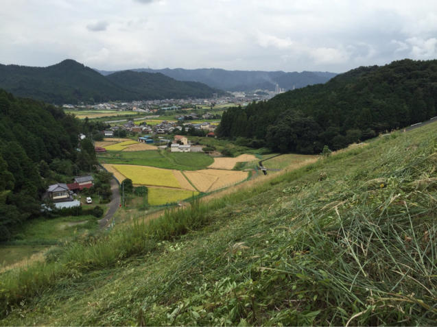 b0176010_11001413.jpg