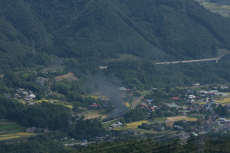 緑の山と実りの季節の重連 - 2011年・上越重連 - _b0190710_23492142.jpg