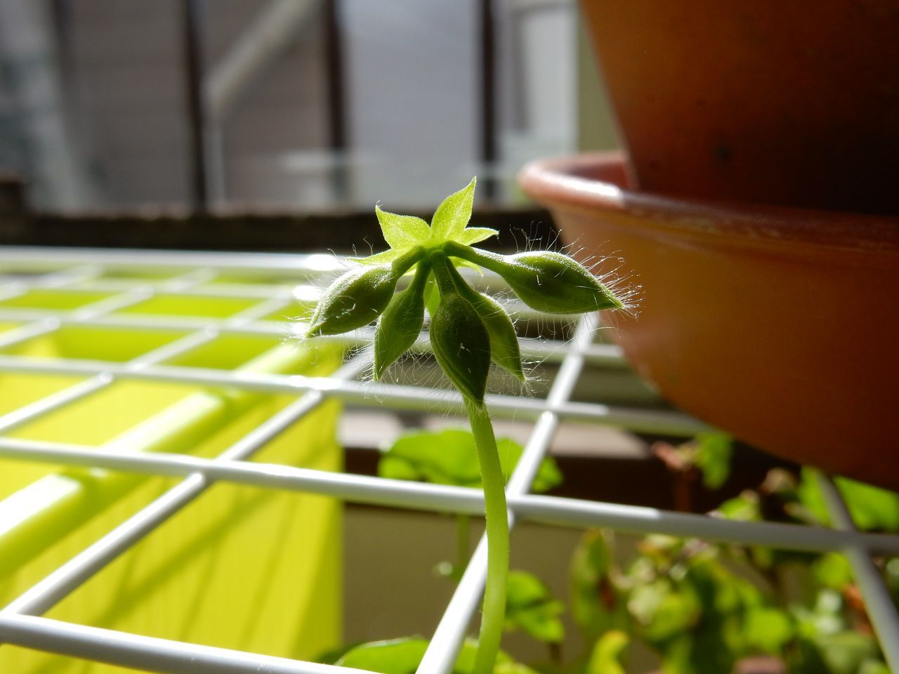着々と深まる秋_c0025115_22133074.jpg