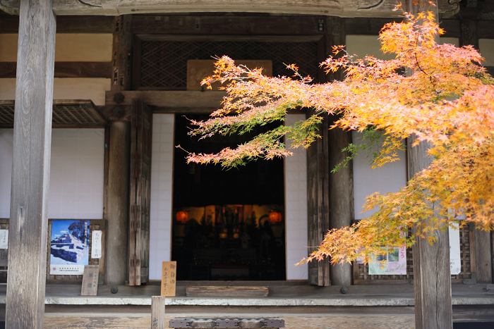 紅葉の高雄 －西明寺（後編）－ _b0169330_23423426.jpg