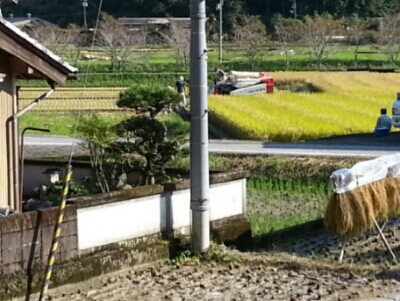 ニンニク、じゃが芋の植えつけ_c0330749_23172193.jpg